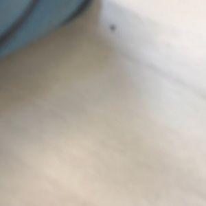 Meet your Posher, Tegan